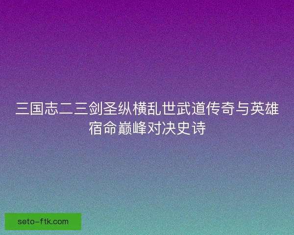 三国志二三剑圣纵横乱世武道传奇与英雄宿命巅峰对决史诗