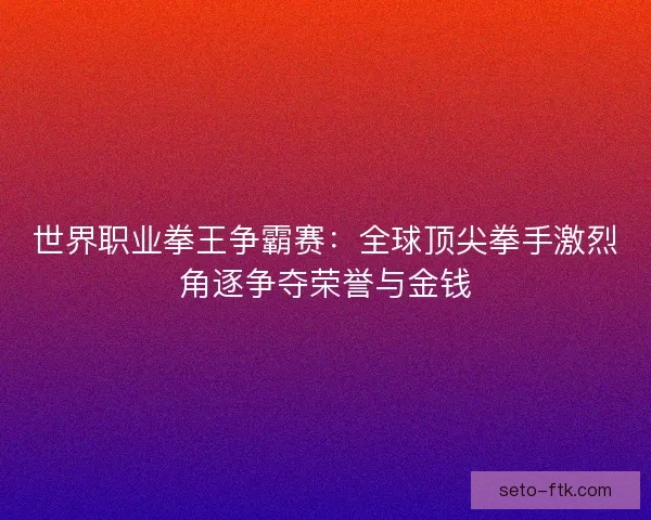 世界职业拳王争霸赛：全球顶尖拳手激烈角逐争夺荣誉与金钱