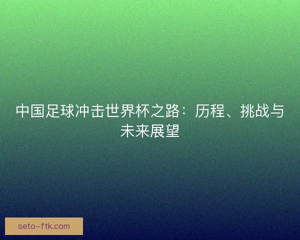中国足球冲击世界杯之路:历程、挑战与未来展望 中国足球冲击世界杯之路:历程、挑战与未来展望